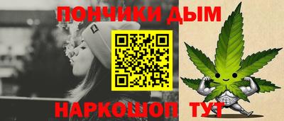 дурь Камышлов