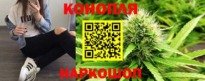 дурь Камышлов